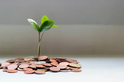 Green/Sustainable financing